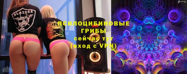 СК Алексеевка