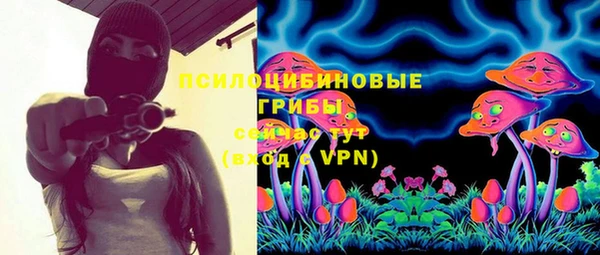 СК Алексеевка