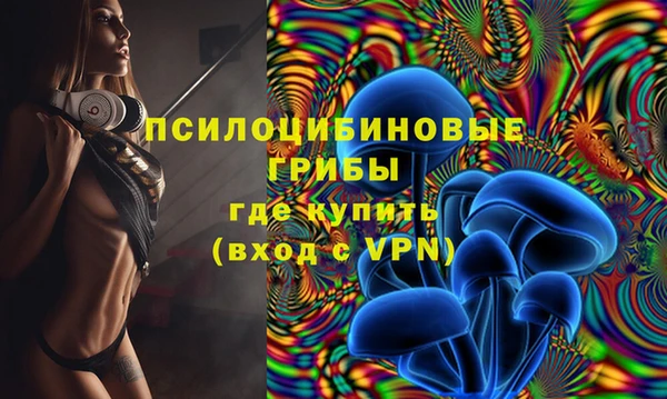 СК Алексеевка